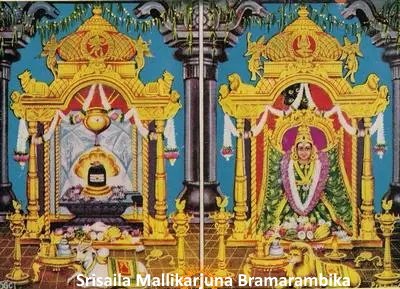Sri Bramarambika Ashtakam శ్రీ భ్రమరాంబిక అష్టకం श्रीशैल मल्लिकार्जुन ब्रमराम्बिका अष्टकम्